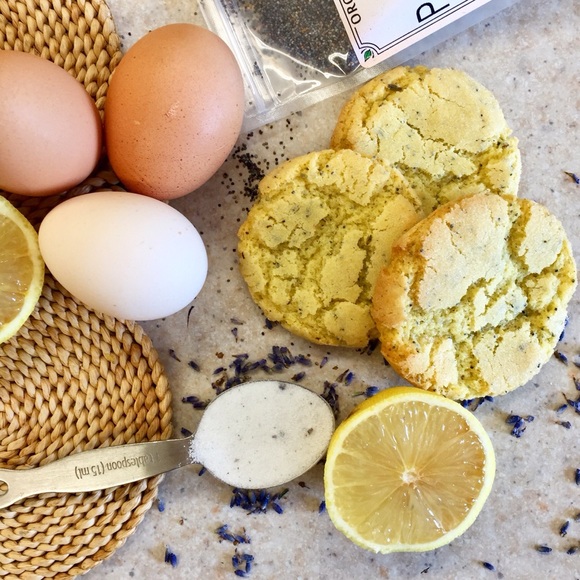 Meet your Posher, Danika Elaine - Picture 16 of 16